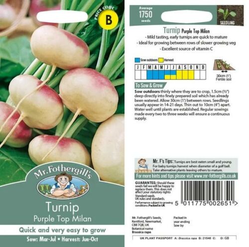 Turnip Purple Top Milan Seeds Product Image