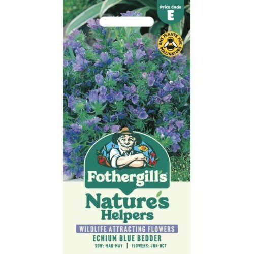 Echium Blue Bedder Seeds Product Image