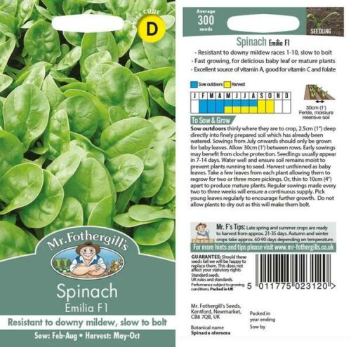 Spinach Emilia F1 Seeds Product Image