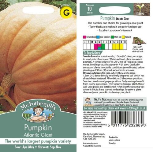 Pumpkin Atlantic Giant Seeds Product Image