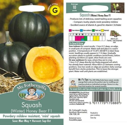 Squash (Winter) Honey Bear F1 Seeds Product Image