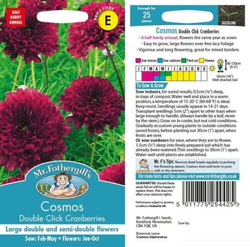 Cosmos Double Click Cranberries Seeds Product Image