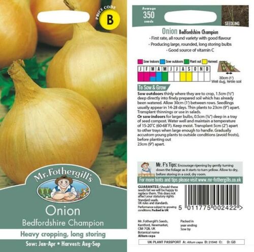 Onion Bedfordshire Champion Seeds Product Image