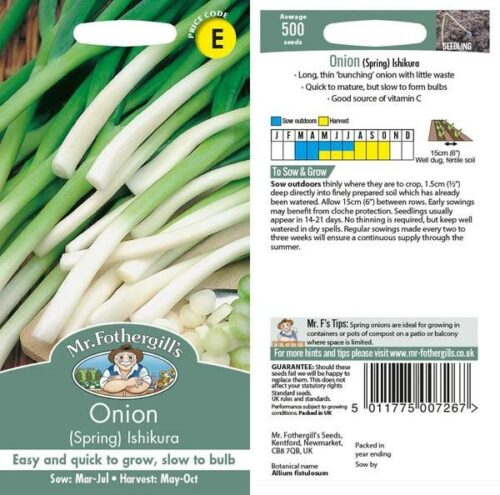 Onion (Spring) Ishikura Seeds Product Image