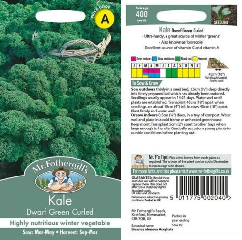 Kale Dwarf Green Curled Seeds Product Image