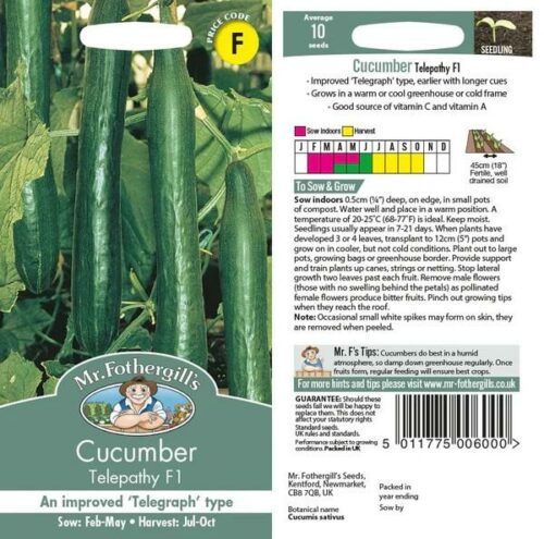 Cucumber Telepathy F1 Seeds Product Image