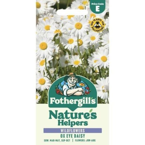 Nature’s Helpers Chrysanthemum Ox Eye Daisy Seeds Product Image