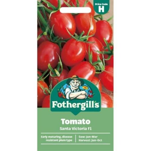 Tomato Santa Victoria F1 Seeds Product Image