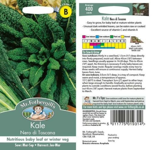 Kale Nero di Toscana Seeds Product Image