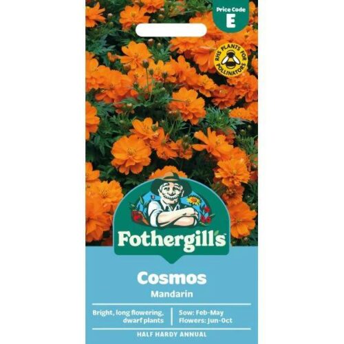 Cosmos Mandarin Flower Seeds Product Image