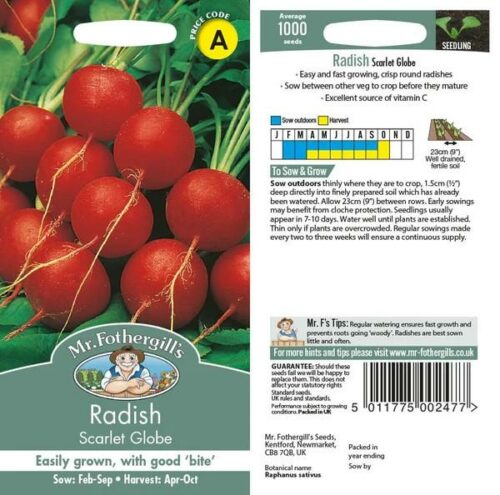 Radish Scarlet Globe Seeds Product Image