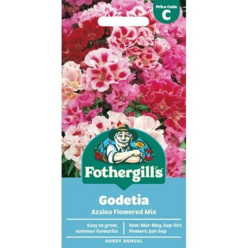 Godetia Azalea Flowered Mixed Seeds Product Image