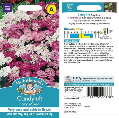 Candytuft Fairy Mixed Seeds Product Image