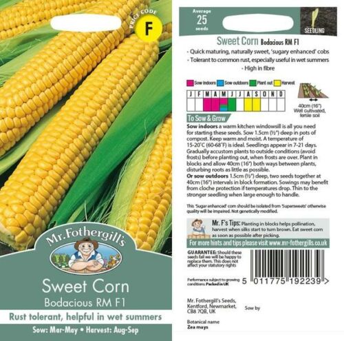 SweetCorn Bodacious RM F1 Seeds Product Image