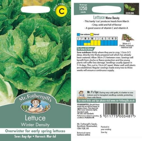 Lettuce Winter Density Seeds Product Image