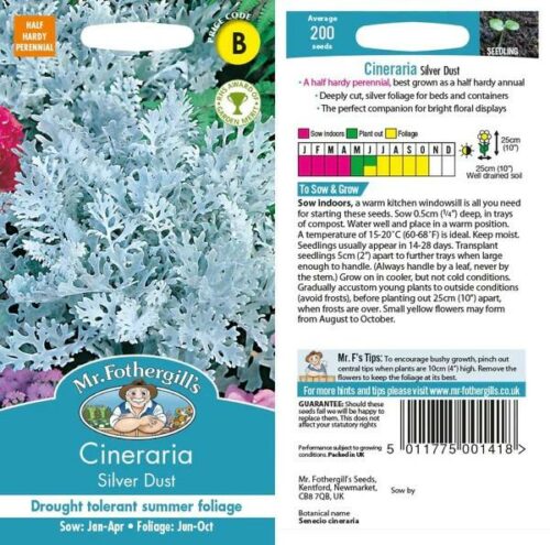 Cineraria Silver Dust Seeds Product Image