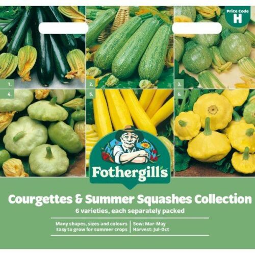 Courgettes & Summer Squashes Seed Collection Product Image