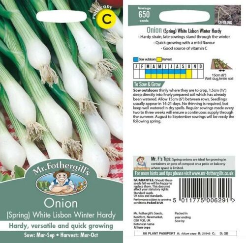 Onion (Spring) White Lisbon Winter Hardy Seeds Product Image