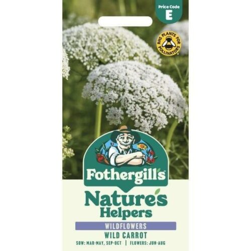 Nature’s Helpers Wild Carrot Wildflower Seeds Product Image