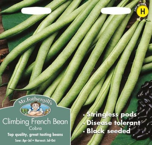 Climbing Bean Cobra Seeds Product Image