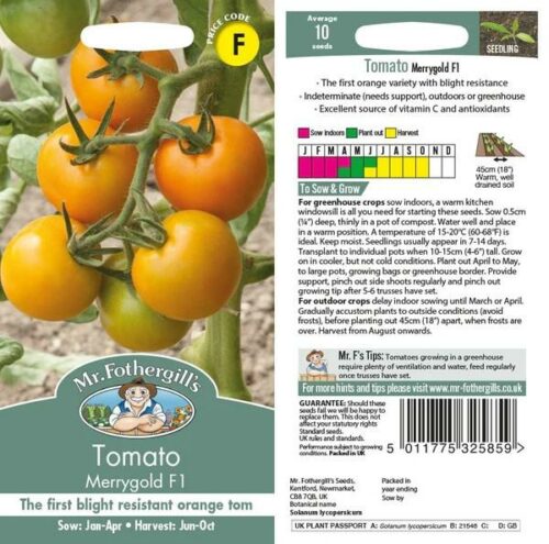 Tomato Merrygold F1 Vegetable Seeds Product Image