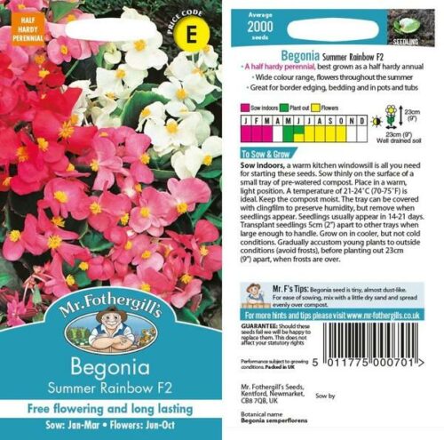 Begonia Summer Rainbow F2 Seeds Product Image