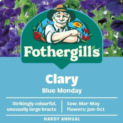 Clary Blue Monday Flower Seeds Product Image