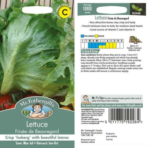 Lettuce Frisee de Beauregard Seeds Product Image