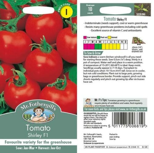 Tomato (Standard) Shirley F1 Seeds Product Image