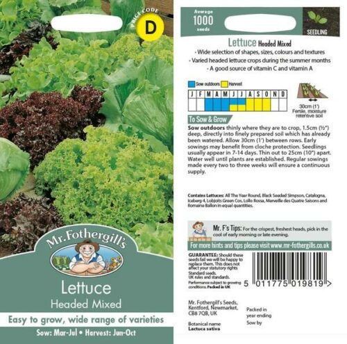 Lettuce Headed Mixed Seeds Product Image
