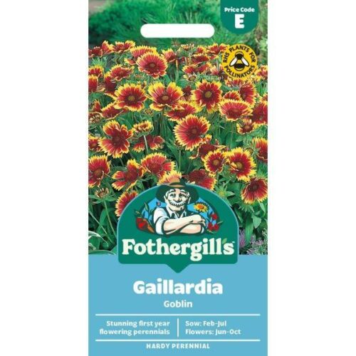 Gaillardia Goblin Seeds Product Image