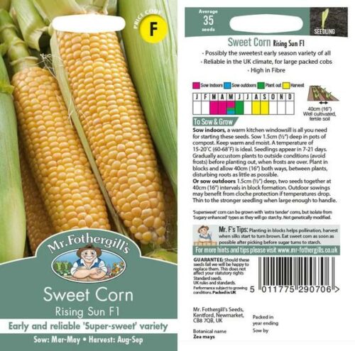 SweetCorn Rising Sun F1 Vegetable Seeds Product Image