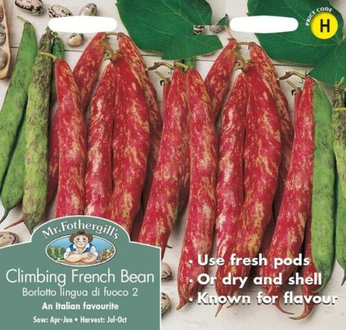 Climbing Bean Borlotto lingua di fuoco 2 Seeds Product Image