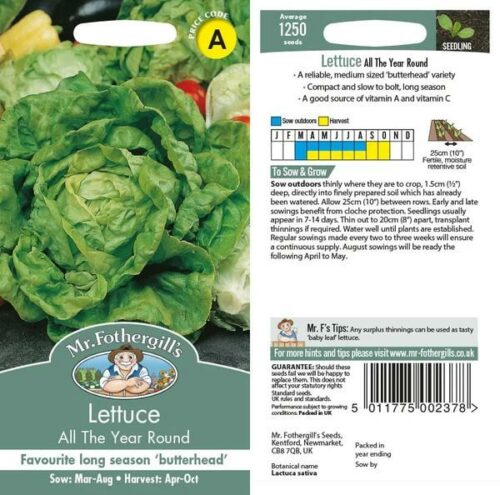 Lettuce All The Year Round Seeds Product Image