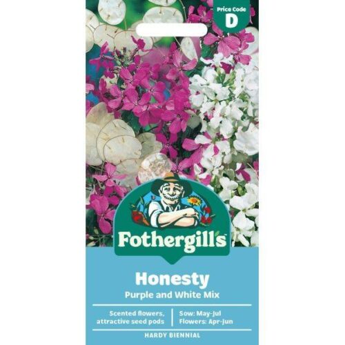 Honesty Purple & White Mixed Product Image