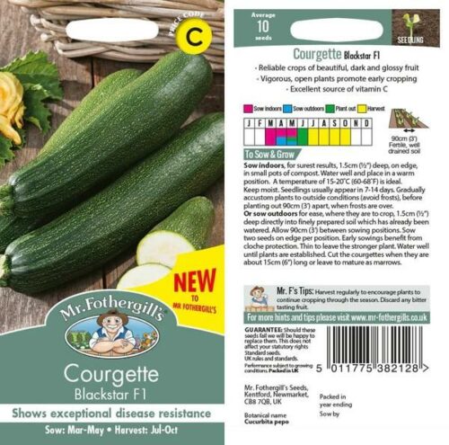 Courgette Blackstar F1 Vegetable Seeds Product Image