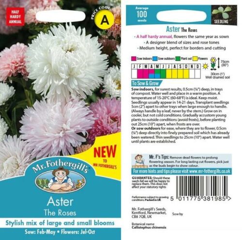 Aster The Roses Flower Seeds Product Image