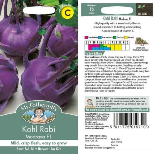 Kohl Rabi Modrava F1 Seeds Product Image