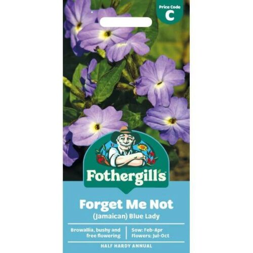 Forget Me Not (Jamaican) Blue Lady Seeds Product Image