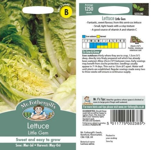 Lettuce Little Gem Seeds Product Image