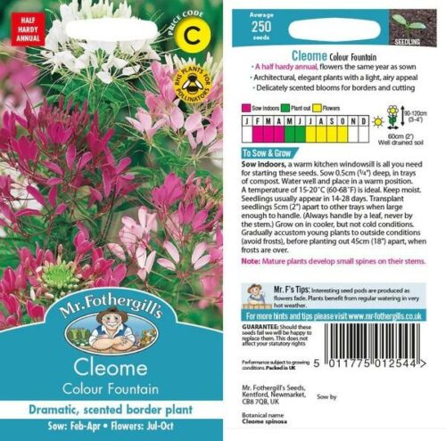 Cleome Colour Fountain Seeds Product Image