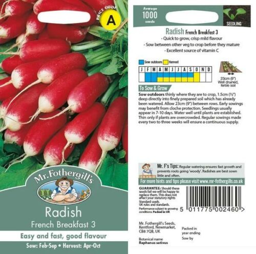 Radish French Breakfast 3 Seeds Product Image