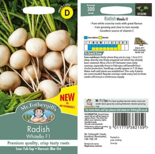 Radish Whitella F1 Vegetable Seeds Product Image