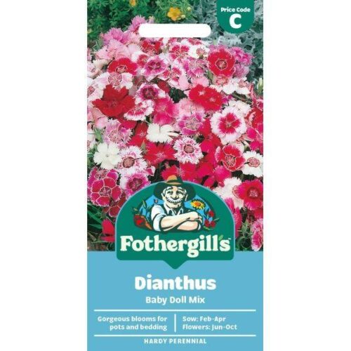 Dianthus Baby Doll Mixed Seeds Product Image