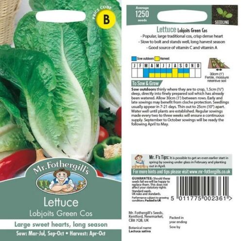 Lettuce Lobjoits Green Cos Seeds Product Image