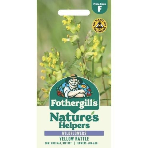 Nature’s Helpers Yellow Rattle Wildflower Seeds Product Image
