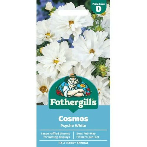 Cosmos Psyche White Seeds Product Image