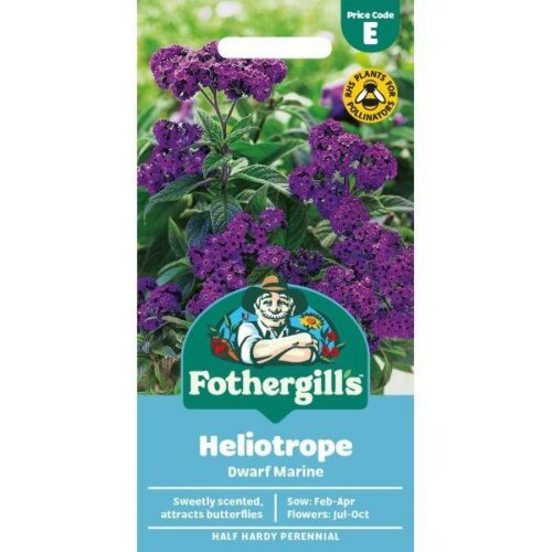 Heliotrope Dwarf Marine Product Image
