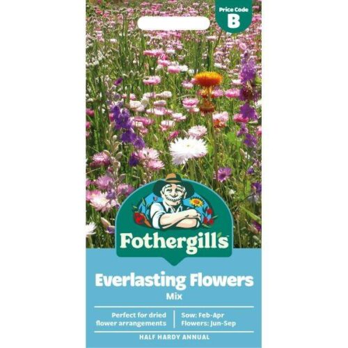 Everlasting Flowers Mix Seeds Product Image