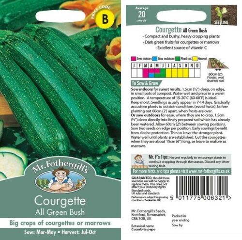 Courgette All Green Bush Seeds Product Image